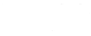 kaboo-big-logo-white