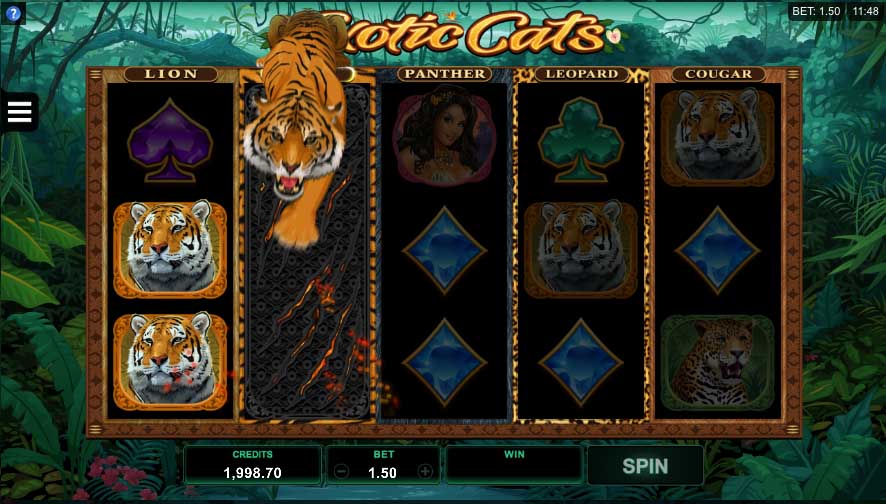 Exotic-Cats-Online-Slot-Tiger-Reel